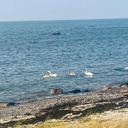 Seaside Wooden Spithami