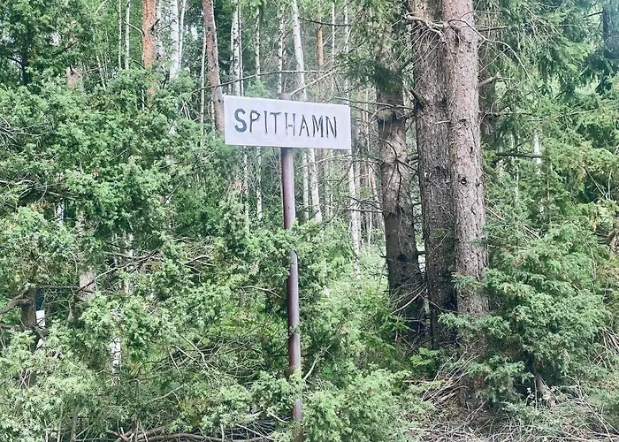 Seaside Wooden Alpehytte