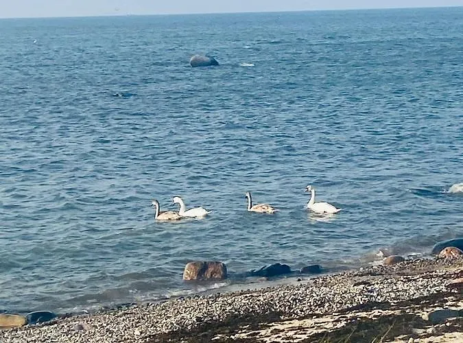 Seaside Wooden Spithami